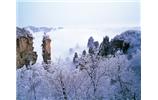 春節(jié)旅游：張家界、袁家界、天子山、寶峰湖/黃龍洞度假二晚三日游